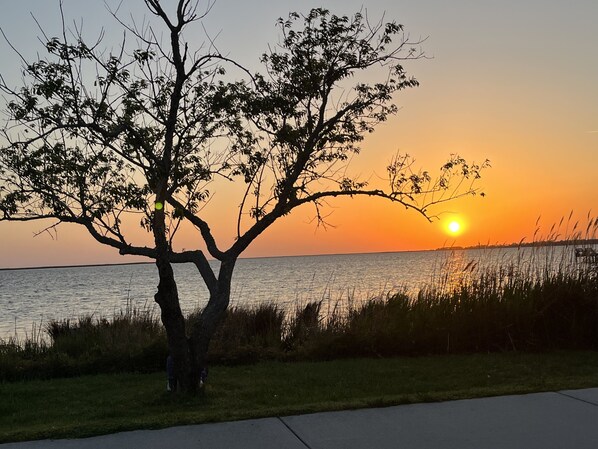 A tree-lined lakeside view during sunset. - PRIVATE SUITE⭐️OUTERBANKS⭐️CENTRAL ⭐️KDH⭐️WALK TO SOUND SUNSET OR BEACH⭐️ (Kill Devil Hills)