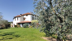 A two-story house with a red-tiled roof, surrounded by a well-maintained lawn and olive trees. - B&B Erilla (Lonato del Garda)