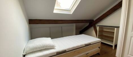 Dormitorio con techo inclinado, tragaluz, suelo de madera y cama sencilla.