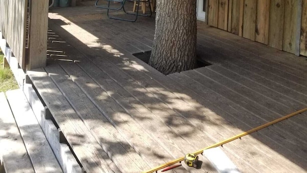 Una cabaña de madera con un porche, una mesa de comedor y un árbol grande.