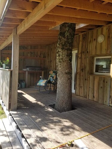 Chalet in the heart of the Landes de Gascogne Regional Nature Park