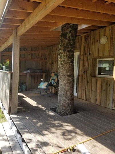 Chalet in the heart of the Landes de Gascogne Regional Nature Park