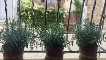 Overnatningsstedets omrÄde