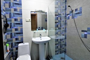 シャワー、ヘアドライヤー、トイレットペーパー