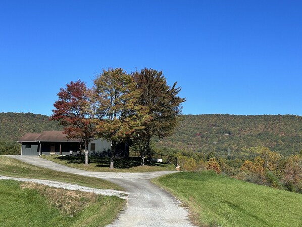 A rural property with a gravel driveway leading to a house surrounded by trees and a hilly landscape.