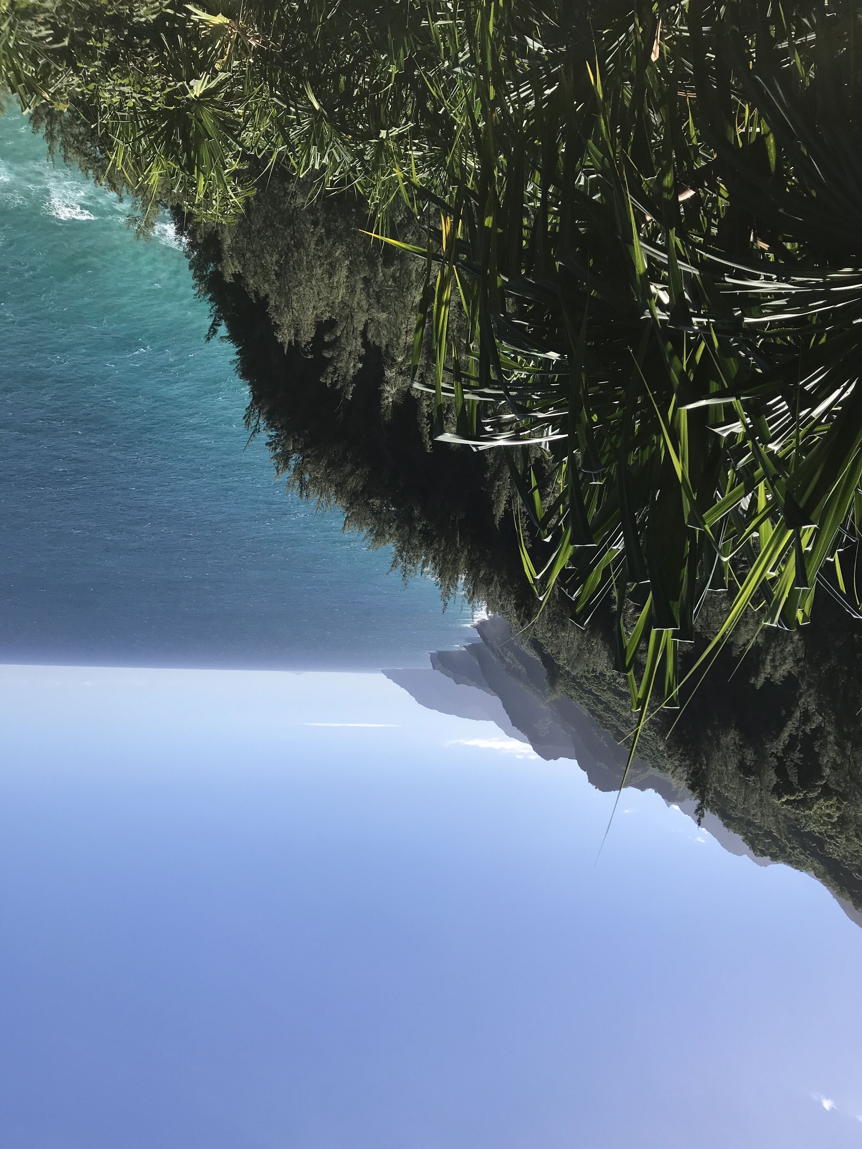 Un paysage côtier offrant une vue dégagée sur l’océan et une falaise.