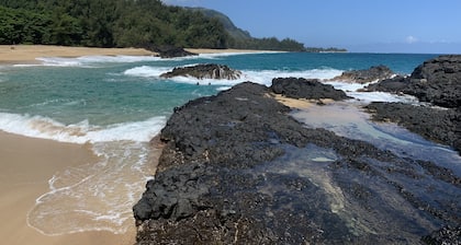 Aloha! The North Shore of Kauai awaits in this amazing, centrally located Condo!
