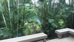 A wooden deck with two benches and lush tropical foliage in the background.