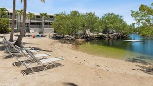 Uma praia com espreguiçadeiras, uma palmeira e um edifício ao fundo.