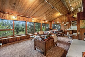 TV, DVD player, video library