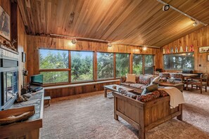 TV, DVD player, video library