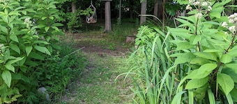 Cozy 2 bedroom on 25 wooded acres. 15 Minutes from Geneva on the lake