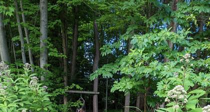 Cozy 2 bedroom on 25 wooded acres. 15 Minutes from Geneva on the lake
