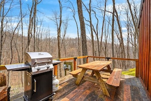 Eine Terrasse mit Grill, Picknicktisch und Bänken, mit Blick auf einen Wald.