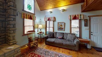 Televisión, chimenea y reproductor de DVD