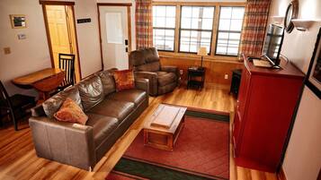 TV, fireplace, DVD player