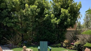An outdoor patio with two Adirondack chairs, a fire pit, and a stone pathway. - Updated Mid-Century beach house --10 minute walk to the beach (Carlsbad)