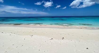 Ocean Breeze, steps to the beach! Generator, Starlink internet, filtered water.