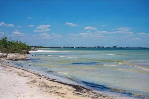 Camastros y toallas de playa