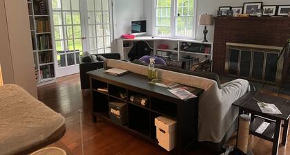 Cute little ranch in the country