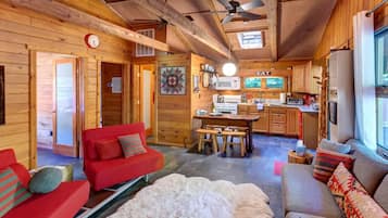 TV, caminetto, tavolo da ping pong, impianto stereo