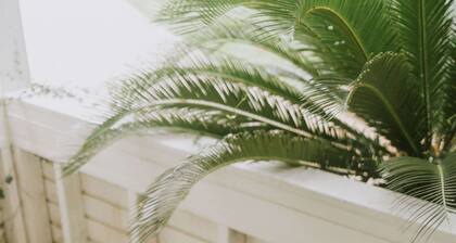 2BD-3BA-3BEDS in the PERFECT location in Ocean Springs! Britt's Creek Condo