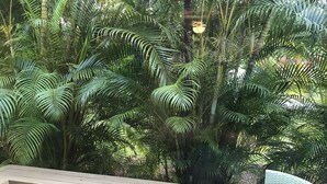 Eine hölzerne Bank mit einem gewobenen Stuhl und einem gemusterten Kissen, umgeben von dichtem Grün.