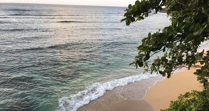 Aloha! The North Shore of Kauai awaits in this amazing, centrally located Condo!