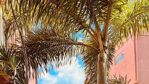 A view of a building with a balcony overlooking a clear blue sea. - Idyllic, Romantic Caribbean Ocean Front View Coakley Bay Condo. Quiet East End (Christiansted)