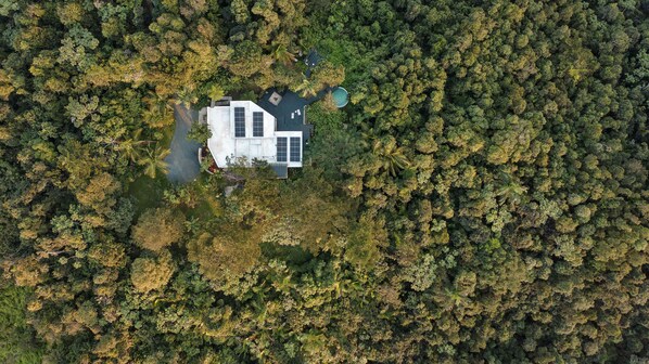 Aerial view - SELVA by DW (Luquillo)