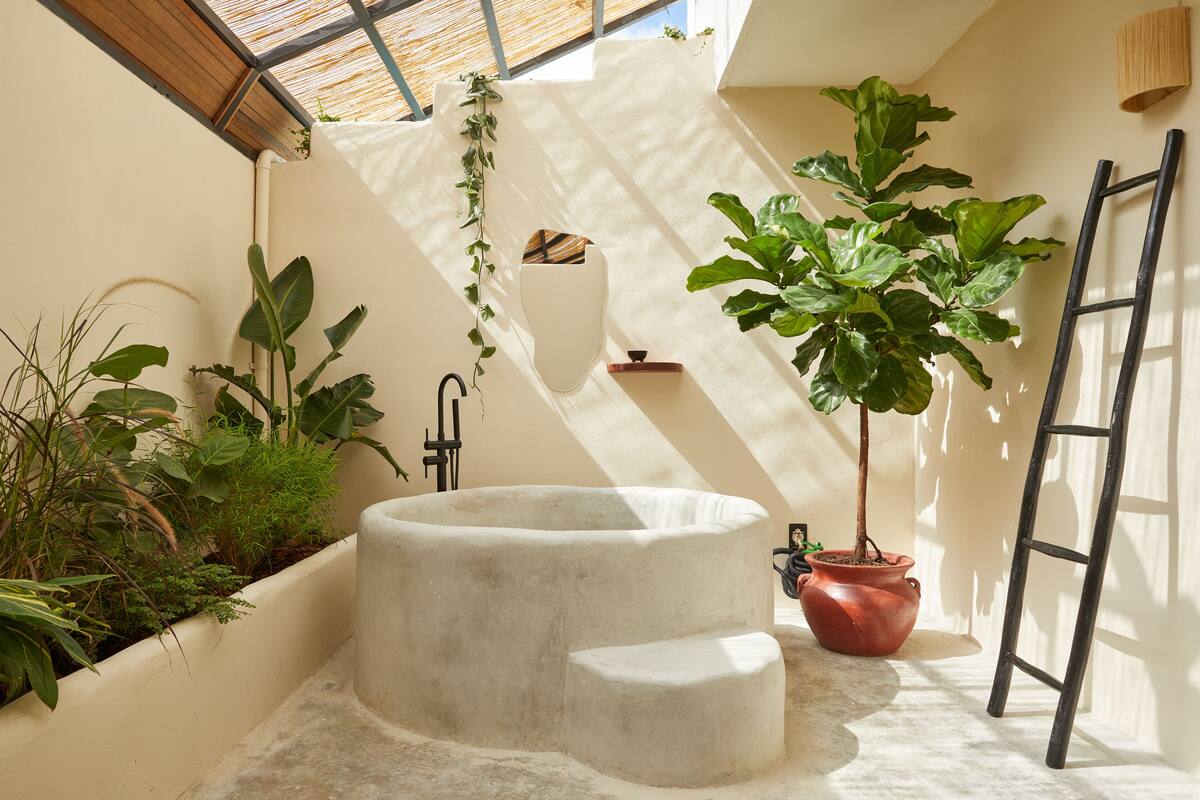 Un intérieur lumineux, avec un bac à plantes en béton, un arbre en pot et une échelle.