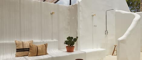 A white, curved wall with a small cactus plant and a wooden stool.