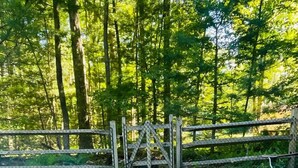 Ein Lagerfeuer in einem bewaldeten Gebiet mit Holzzaun und Sitzgelegenheiten.
