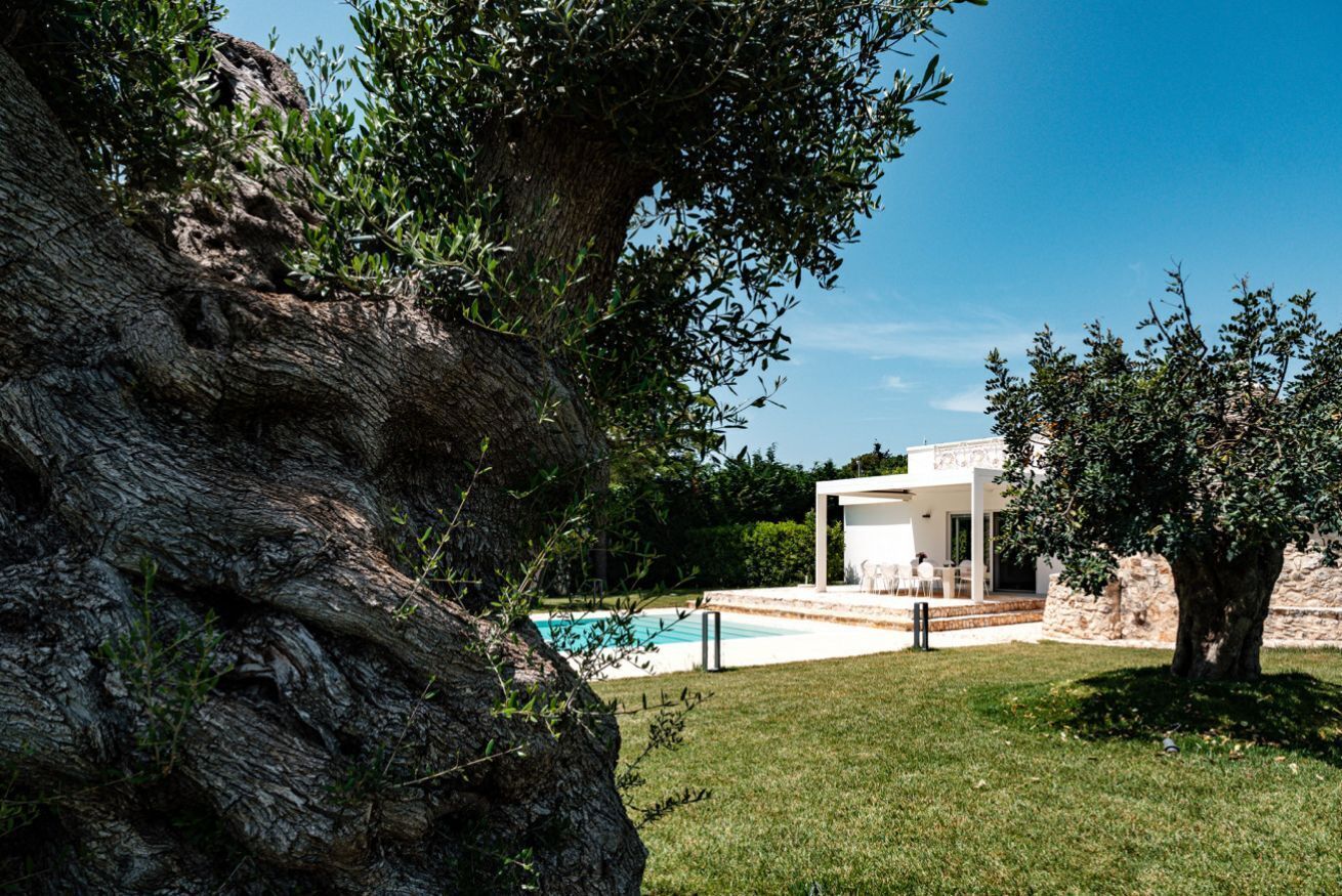 Alberca climatizada 