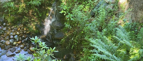 المنطقة المحيطة بالمنشأة