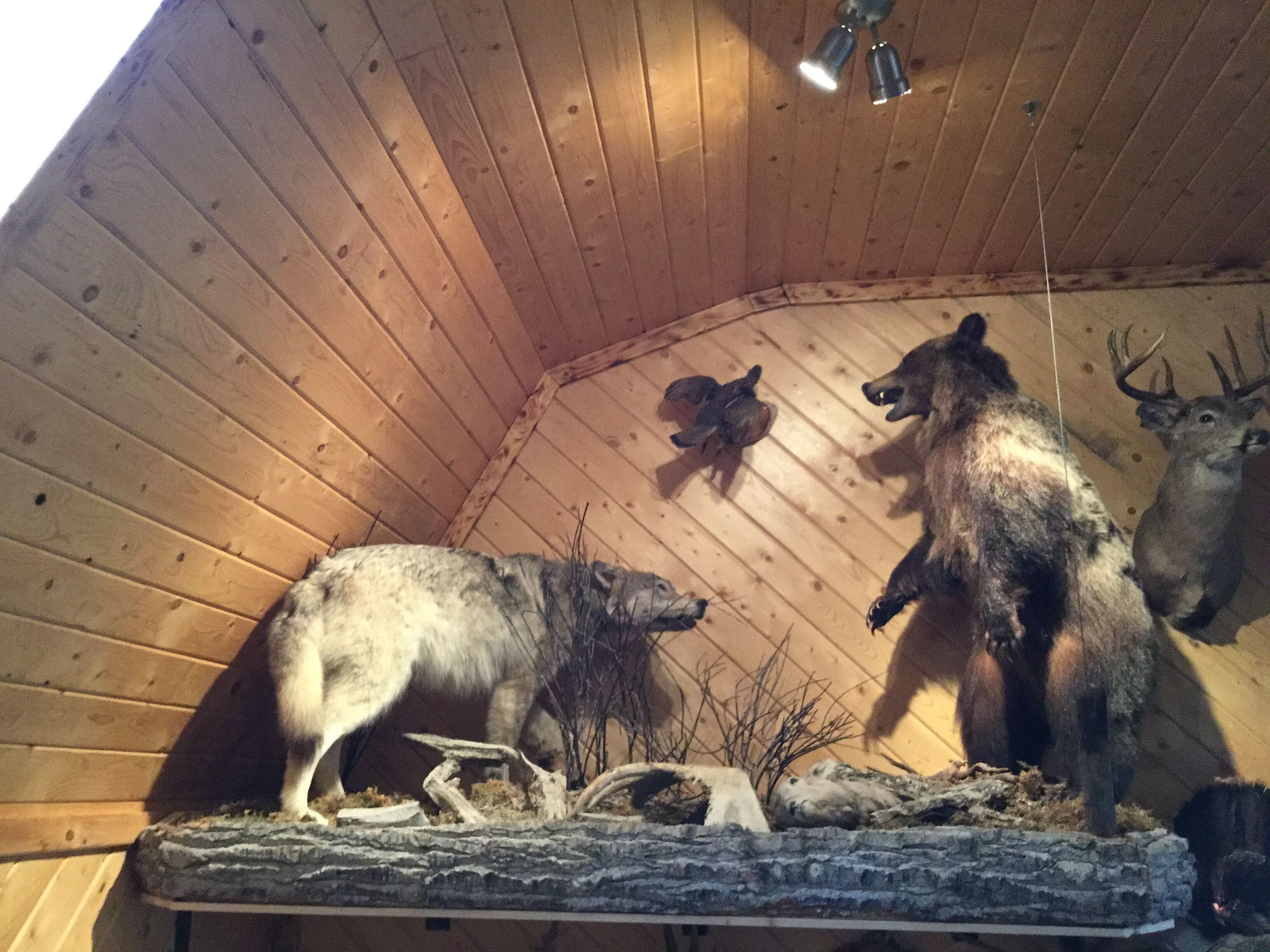 A wooden interior with mounted animal heads and a stone platform.