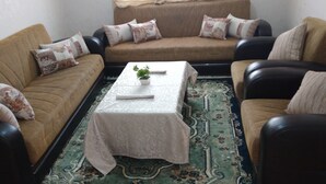 Un salon comprenant un ensemble de canapés, une table basse avec une plante et un tapis à motifs.