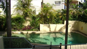 A swimming pool surrounded by lush greenery and a white wall.