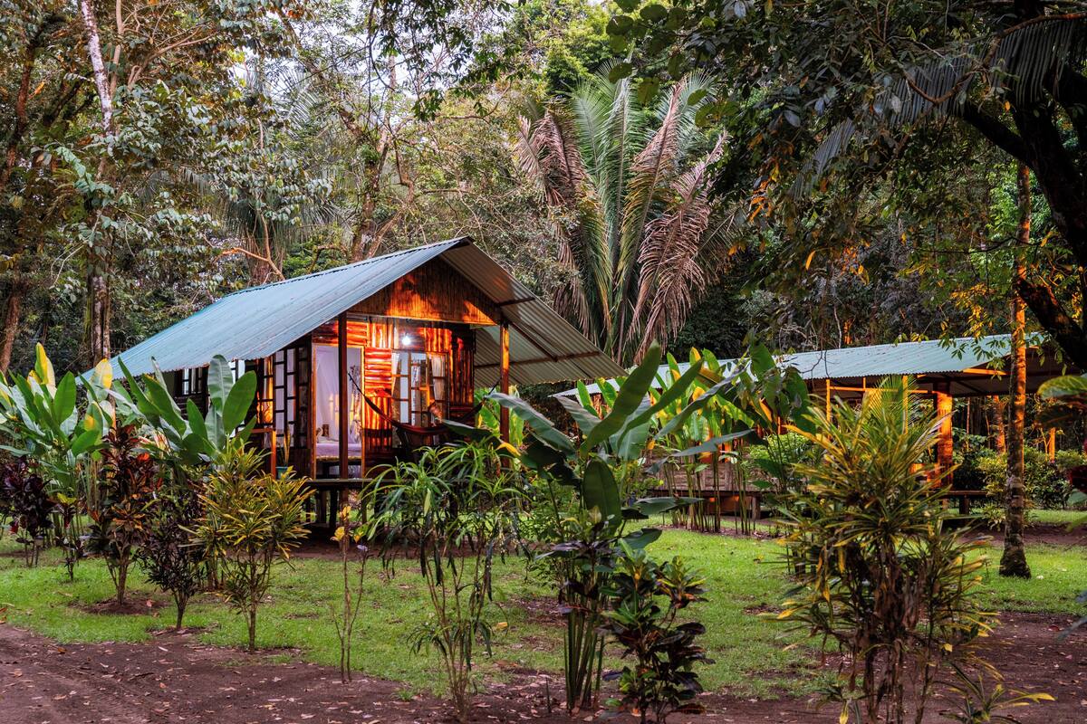 A rustic wooden cabin surrounded by lush tropical vegetation.