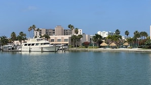 A marina with a yacht docked, surrounded by buildings and palm trees. - FABULOUS WATERFRONT STUDIO APT IN ST PETE FL! (Saint Petersburg)