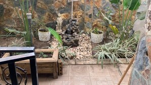 Un jardin avec un mur de pierres, une petite cascade et des plantes en pot.