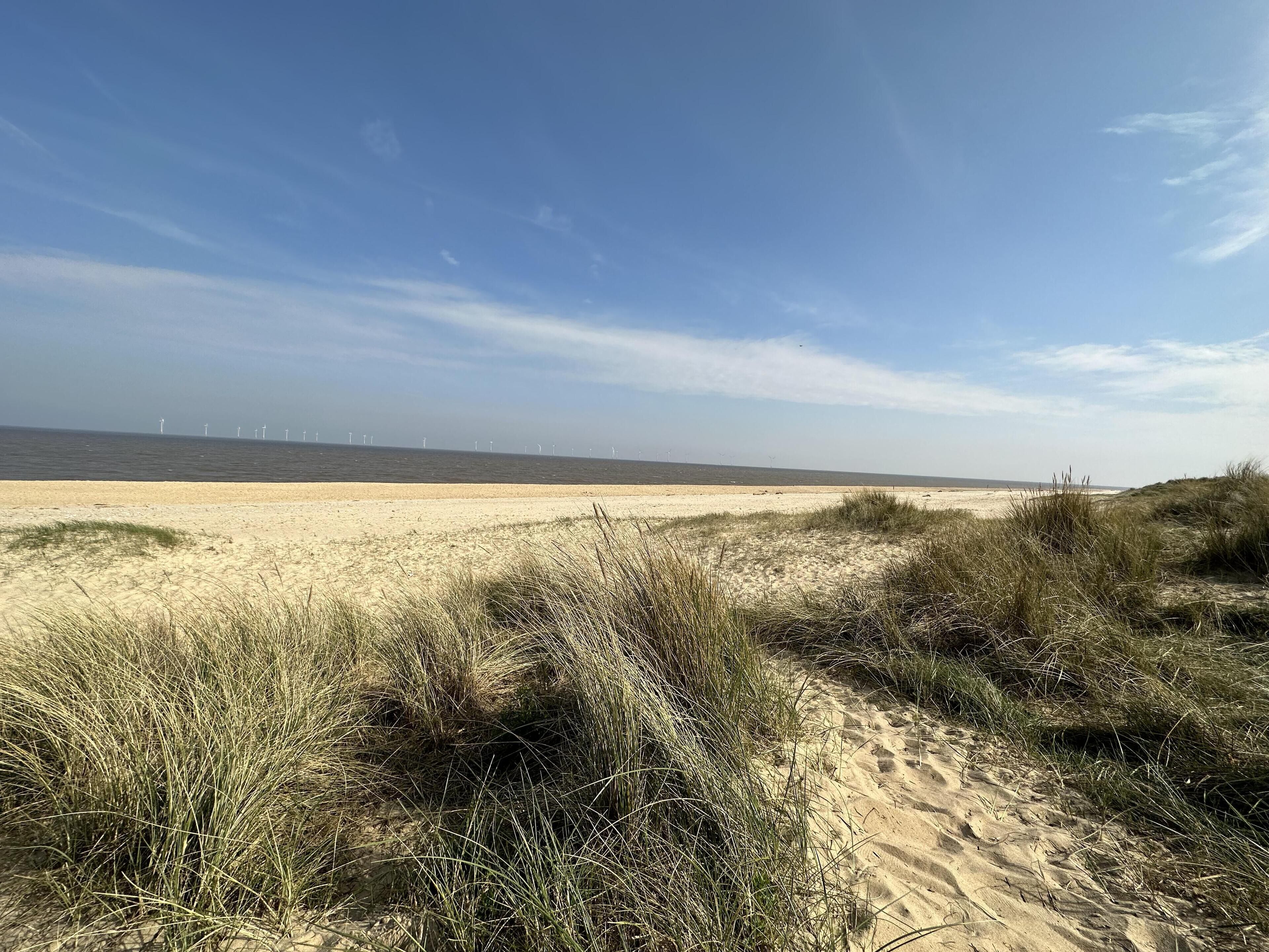 A sandy beach with dunes and wind turbines in the distance.