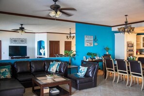 Smart TV, DVD player, books, video library