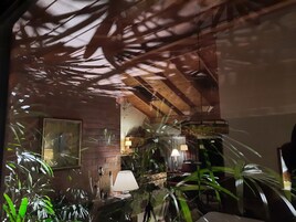 A room with a brick wall, a wooden ceiling, and a large window with reflections of plants.
