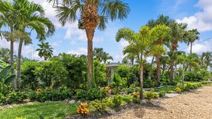 A garden with palm trees, various shrubs, and a gravel path. - KEYLIME COTTAGE Heated Pools, steps from the beach perfect location (Clearwater)