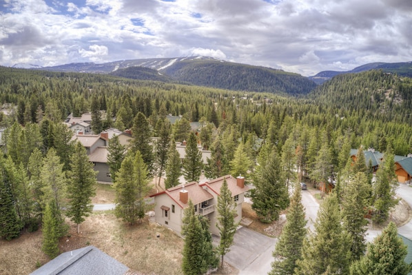 Un quartier résidentiel composé de plusieurs maisons, entouré d’une forêt dense, avec une montagne en arrière-plan et un ciel dégagé.