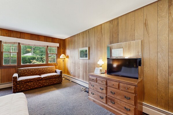 Ein Zimmer mit holzverkleideten Wänden, einer Couch, einem Fernseher auf einer Holzkommode und einem Fenster mit Blick auf Grünflächen.