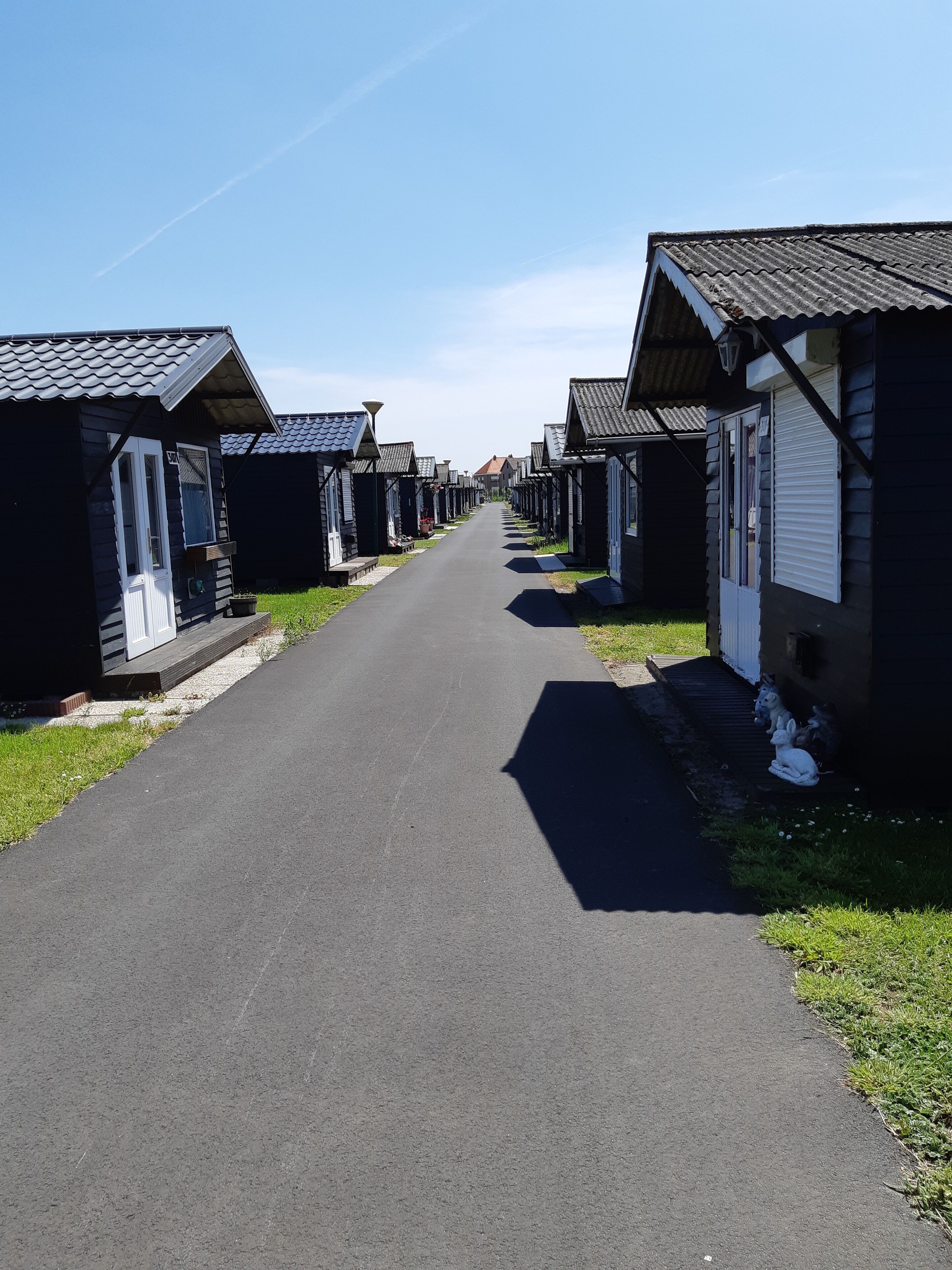 A row of uniform, dark-colored mobile homes with sloped roofs, arranged along a paved road.