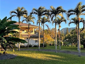 A two-story house with a tiled roof, surrounded by a well-maintained lawn and several palm trees.