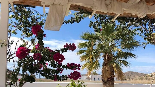A covered outdoor seating area with a sofa and cushions, surrounded by plants and flowers, with a view of the landscape. - Villa 100 M From THE Beach 6 Room IN IOS Island (Ios)